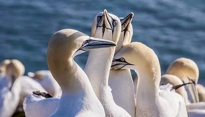 玉溪最新的高价医保卡惠民保险代扣怎么取消掉了方法分享(玉溪惠民医保怎么报销教程)