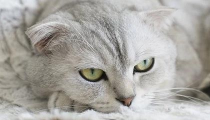 玉溪最新的高价医保卡惠民保险代扣怎么取消掉了方法分享(玉溪惠民医保怎么报销教程)