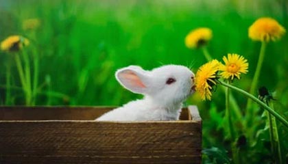 玉溪最新的高价医保个人账户余额微信查询方法分享(玉溪医保查询个人账户明细怎么查微信教程)